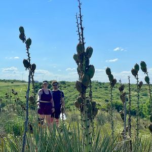 Meet your Posher, Bonnie